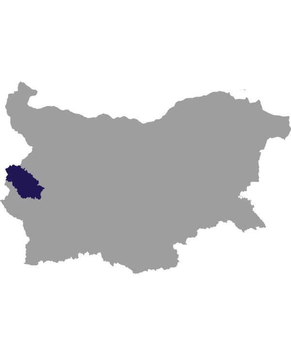 Landkaart Bulgarije grijs met oblast Pernik donkerblauw op transparante achtergrond - 600 * 733 pixels
